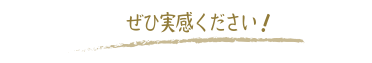 ぜひ実感ください